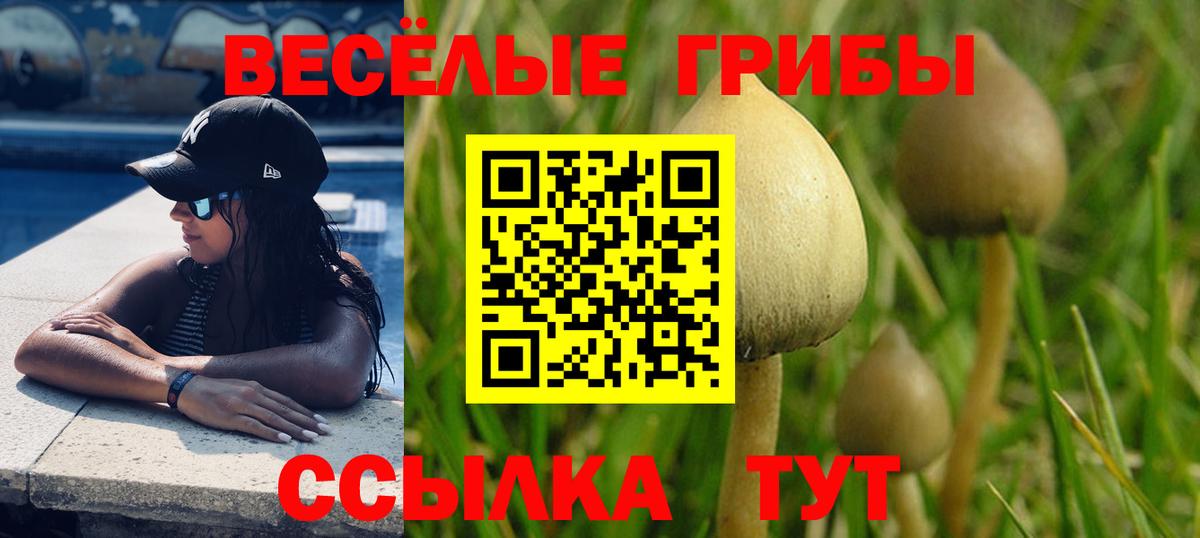 Когалым  Галлюциногенные грибы Psilocybine cubensis  Вход с VPN 
